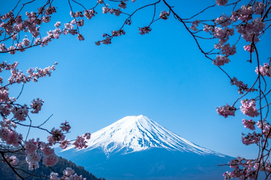 Mt. Fuji Day Tour